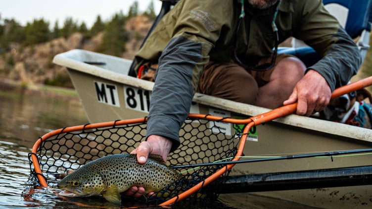 The Role of Basket Depth in Fish Recovery