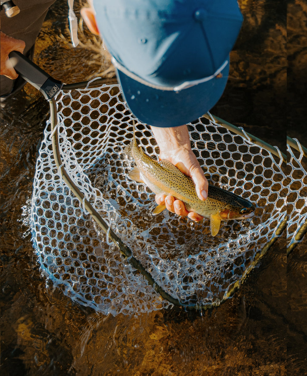 Person holding a fish with a net in a natural setting